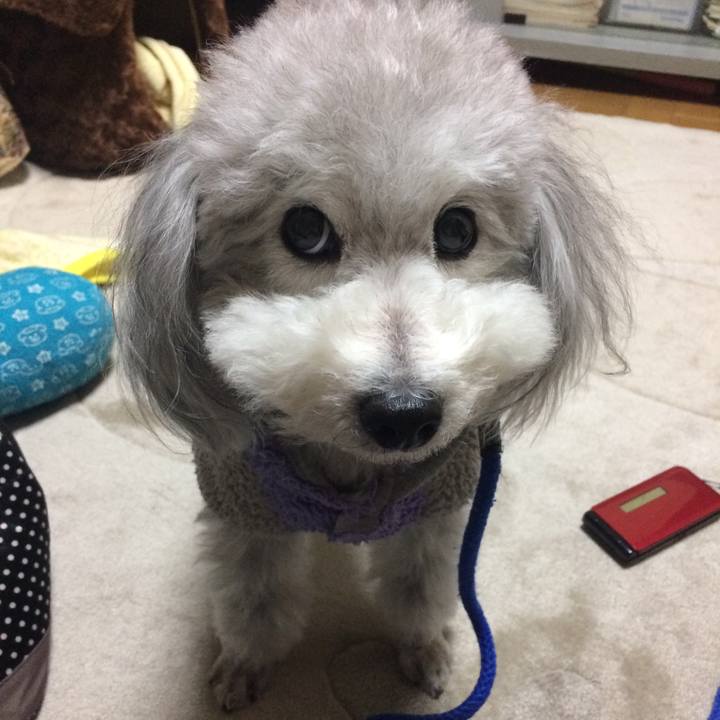 326a30f6 c77f 4815 9299 2f7ace0f7e24 1516319500343