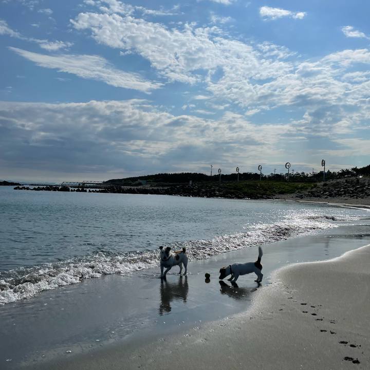 326a5967 c2e1 4557 8982 7badb5b2e6da 1625012593074