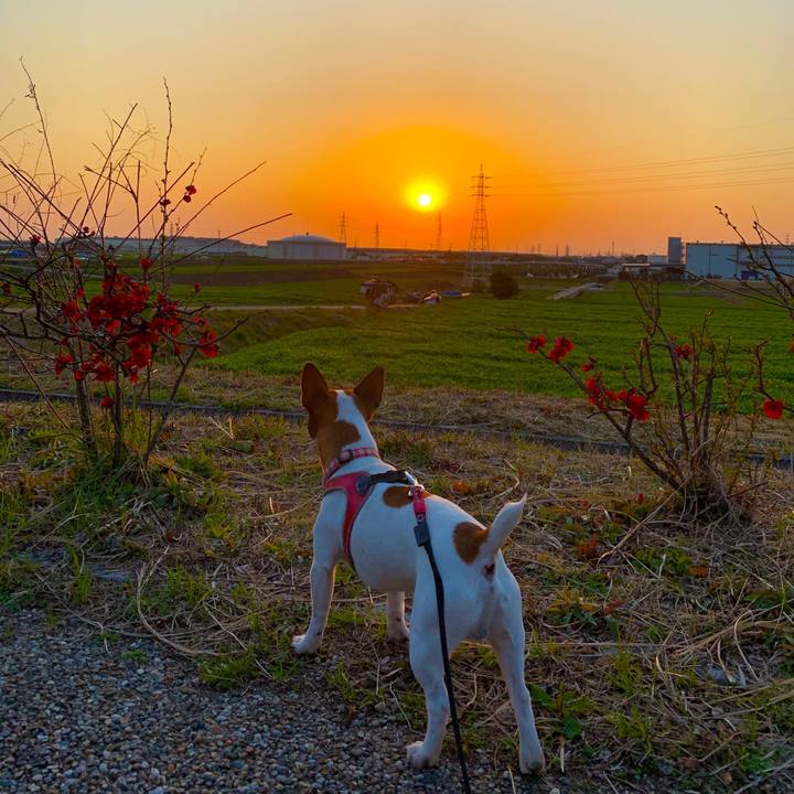 326a5edb a4ab 4379 8cb9 331034f4e4d4 1584450856412