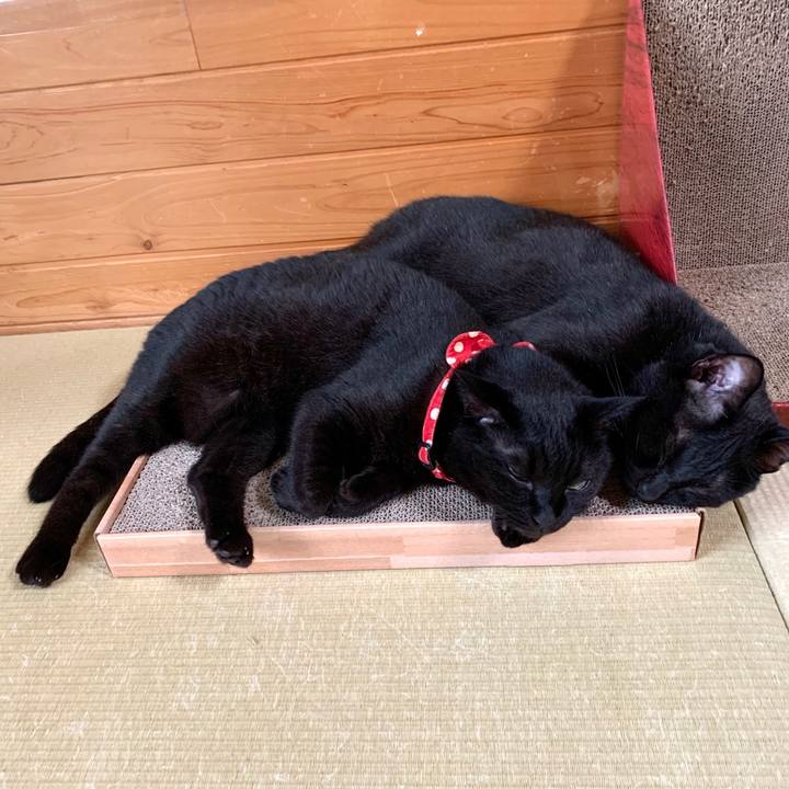 326a93f6 6304 4791 bcc4 67bac9f03308 1593225442903