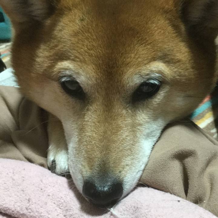 326aeaf6 1b20 40fe 903a 4b7c3b182578 1552036422873