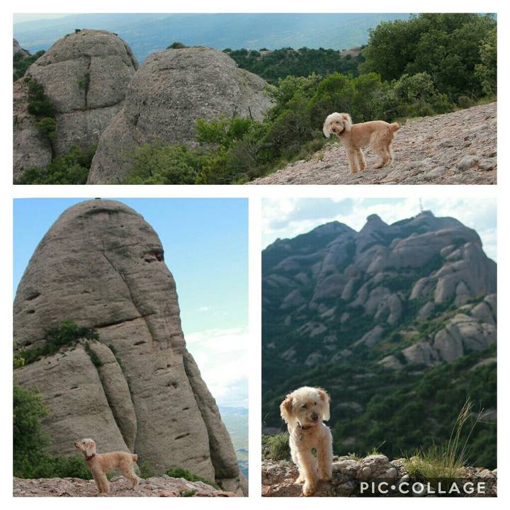 326af50a 3670 49ff b303 abb579a9ed4a 1592508255384