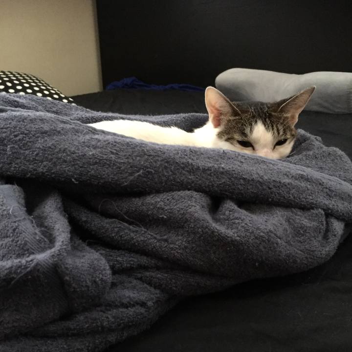 326af712 7f6d 42ab a769 598874392b7b 1535116815718