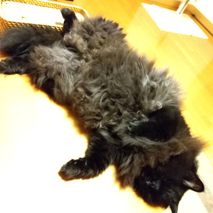 326b1d0e 395a 4d11 a9ee db0e91f0faf2 1599826713284