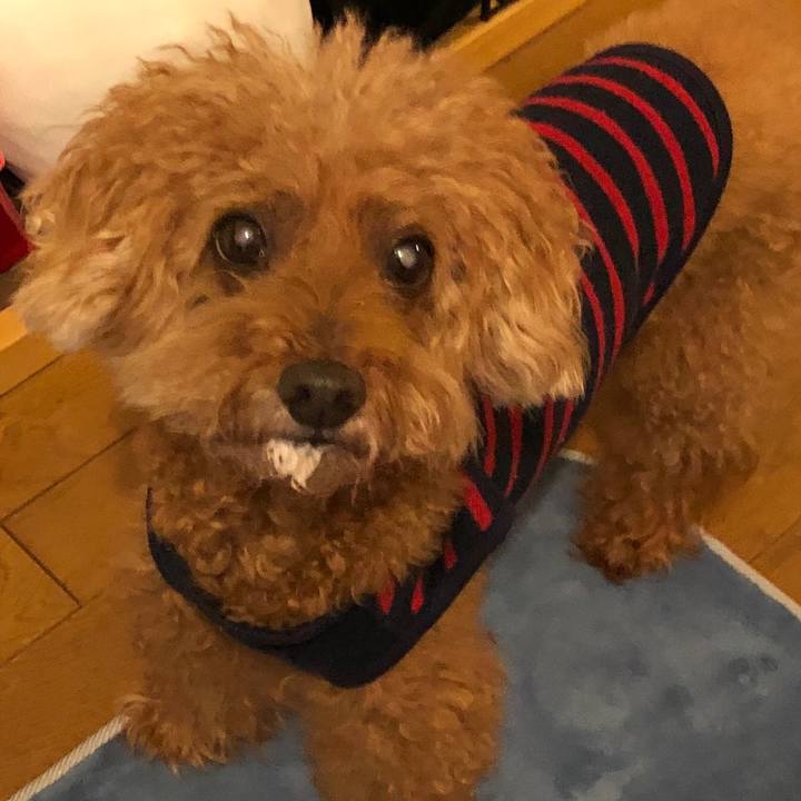 326b218e 2f39 4694 9b24 20db489ee9ce 1602153737452