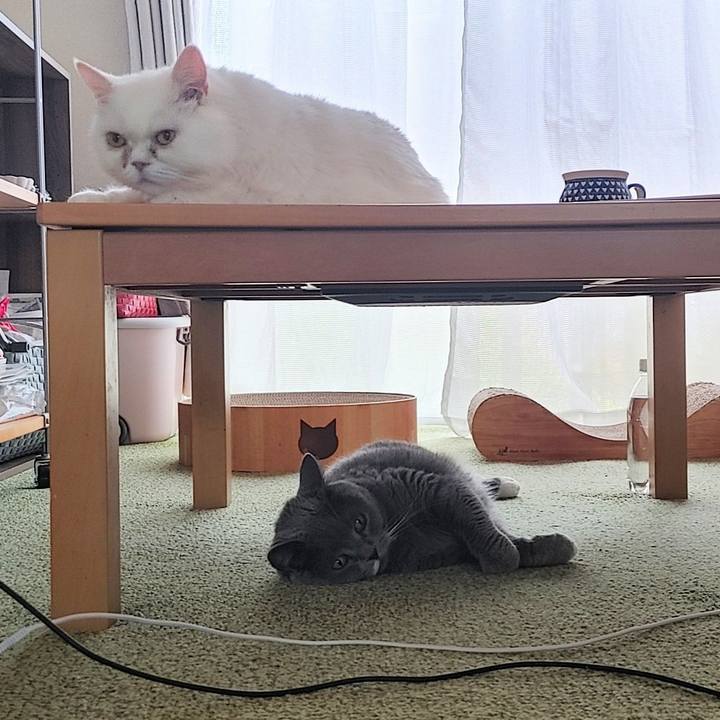 326b294c 4d5d 43b8 bc11 1199dcc34194 1716005588479