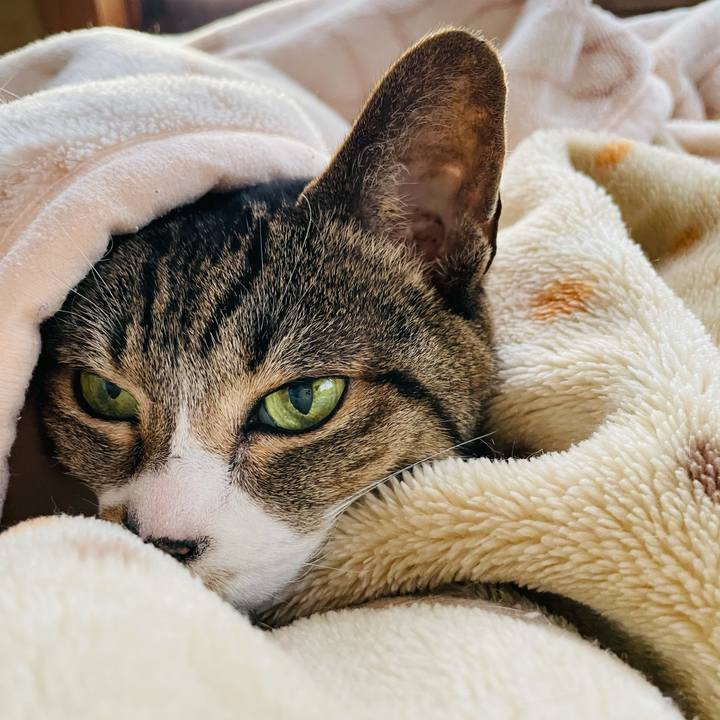 326bd5ff 8466 4e32 a0e9 812da416e961 1610330852893