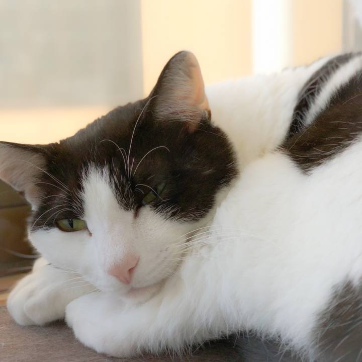 326c0a8a 44a3 4e2c a094 c58d84015455 1558144312440