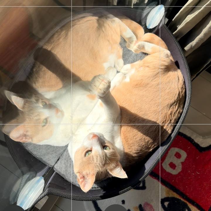 326c0de1 b33f 4e96 a889 4cbc0cbfa6d5 1772863745540