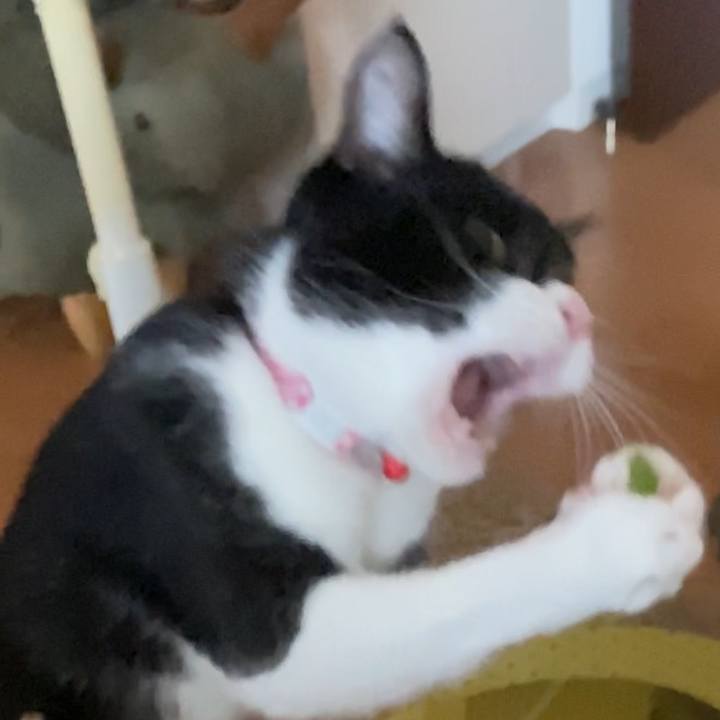 326c484e d989 4ce2 a4c8 66c6d8a023f6 1626771225622