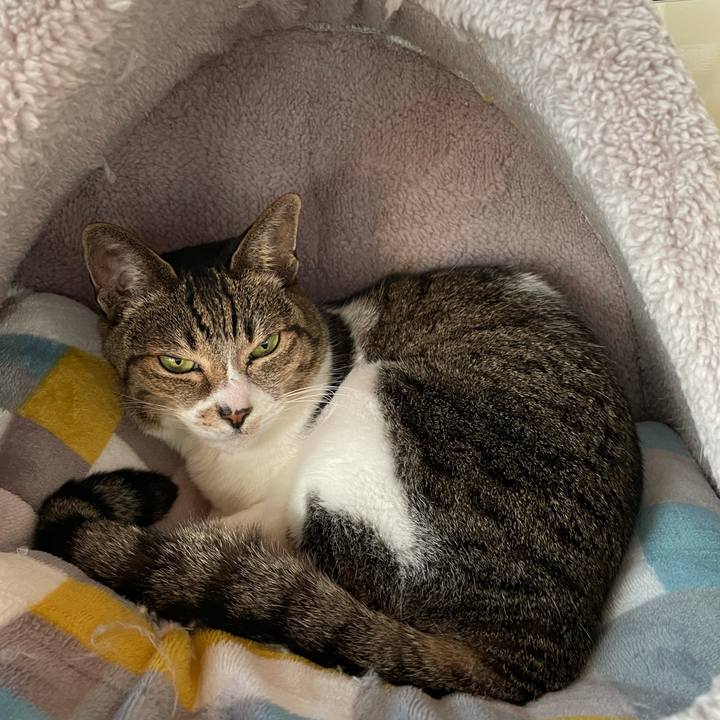 326c65d9 b592 41d6 908a 01fcf018a384 1610243956104