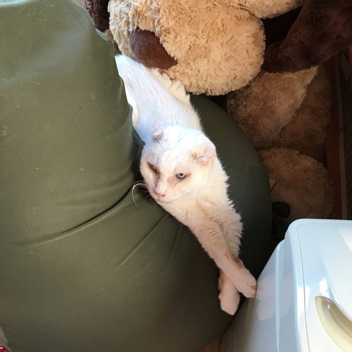 326c97b3 777d 4ad4 a89e 7aca6e6037fc 1528082618872