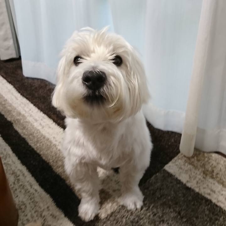 326cdd7e 2112 4e96 8daa 99c9ed324f5f 1532499660380