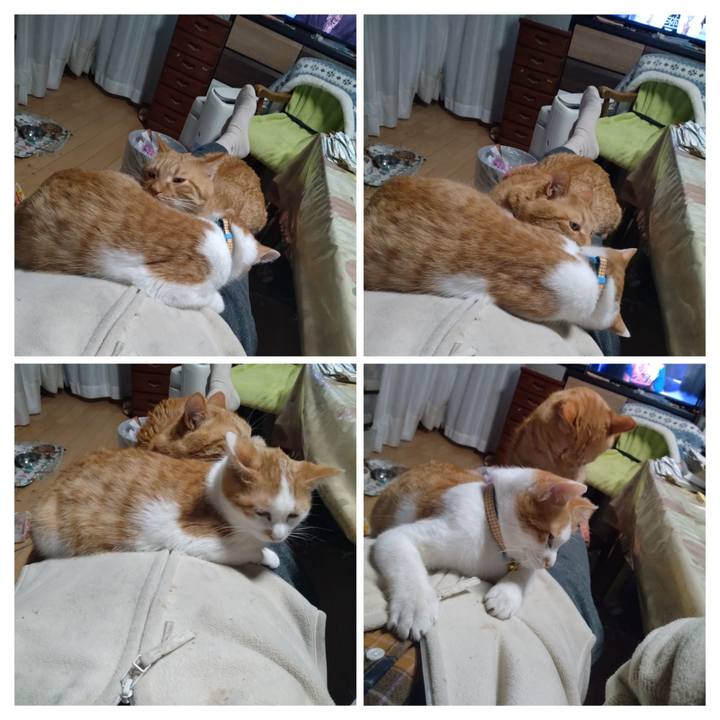 326cf3b6 aa6c 459b b9df b963a8a66108 1735978102423