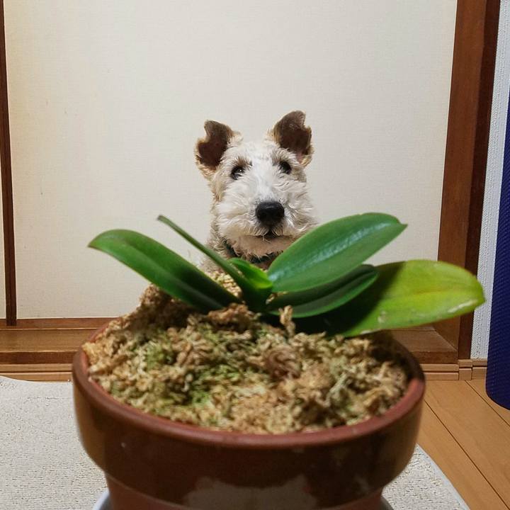 326cf5b3 9d7b 437d 84eb a46c978956c8 1551965199509