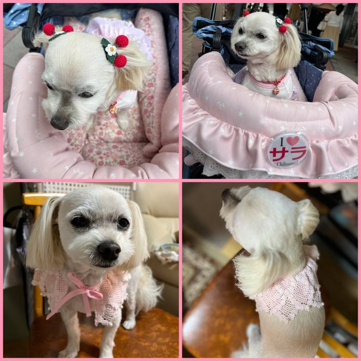 326d1b3a 8b8e 41a7 8a45 0e82b83869b1 1682757869360