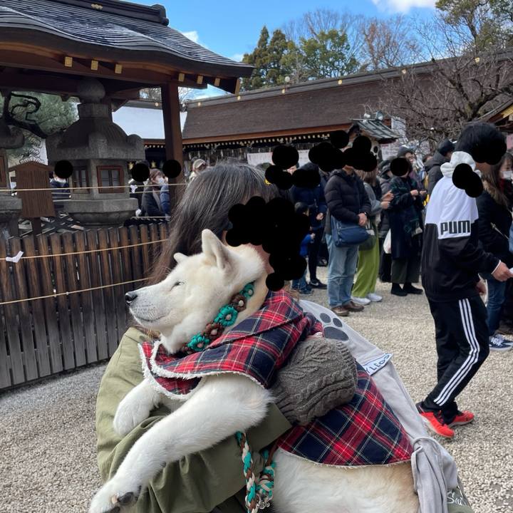 326d3c14 b7ab 4cda 8b2a badbae92a632 1704780146130