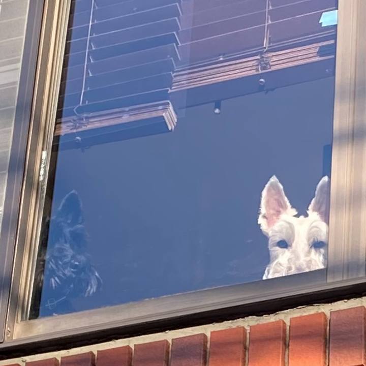 326d690b 4e31 4a08 a45d 65582b9eb03f 1610290105708