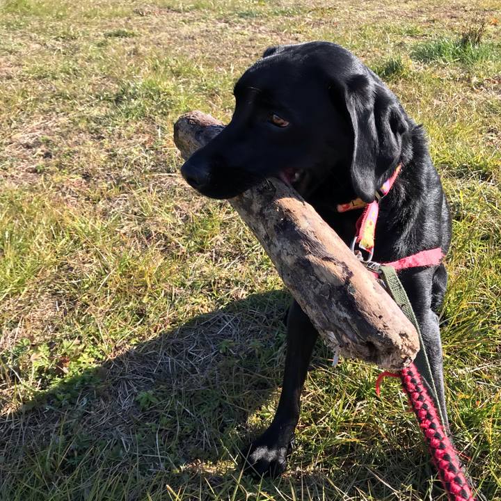 326d7446 0f4c 46e3 9af7 35f89cbb2662 1547638927146