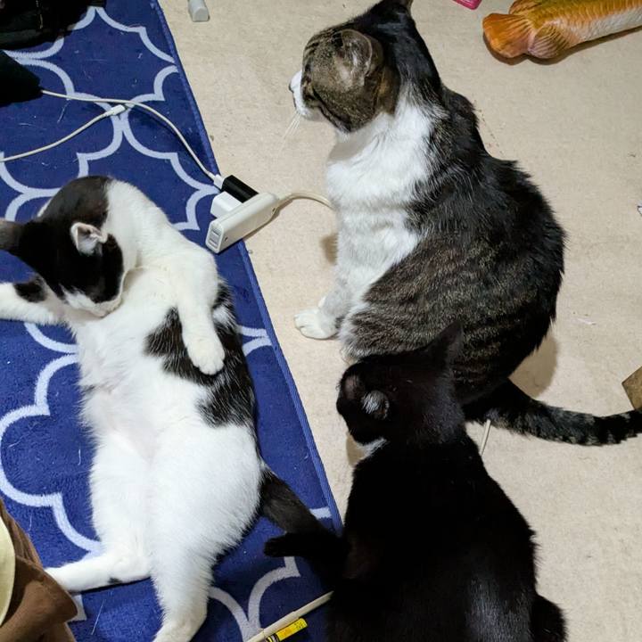 326da5c3 c045 4bfc a1af 5fc631d7ee9c 1743154057111