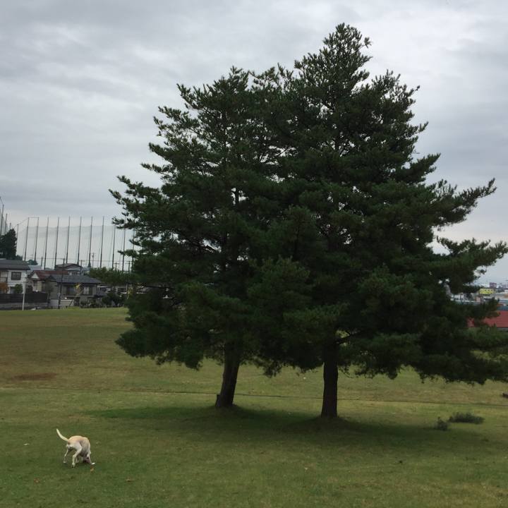 326dd07b e279 4e9b 80d4 6170dd774829 1508905651354