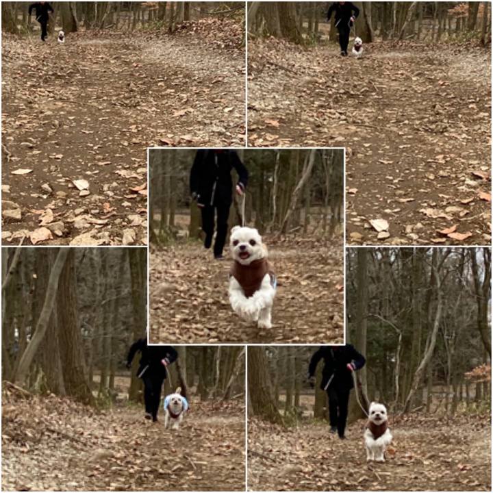 326dfd8e bac6 4dd2 adc6 01c3ab42fa3f 1580112049650