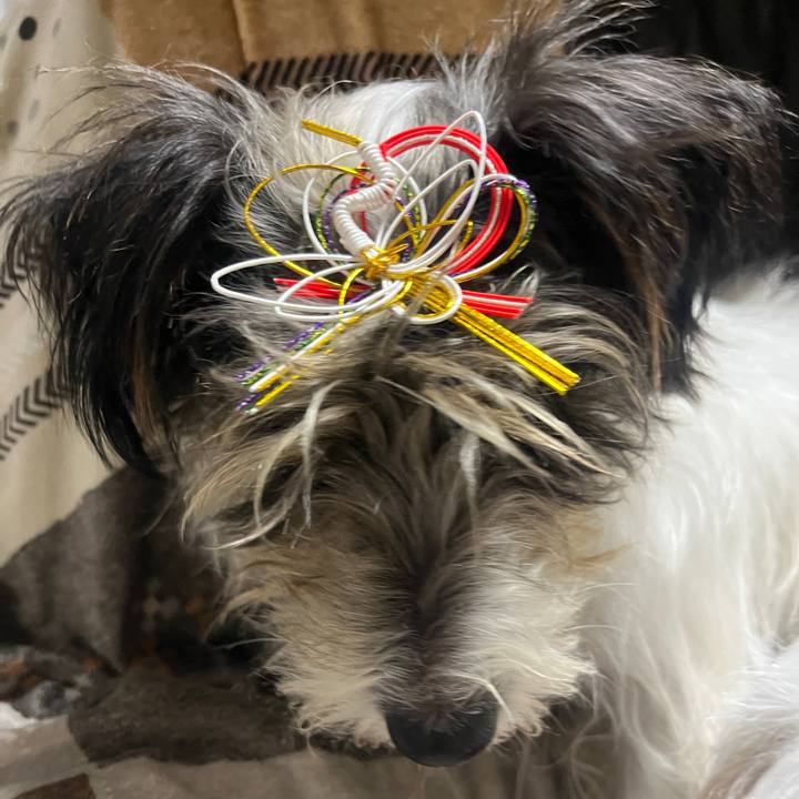 326e20be ea81 4ccb 89b8 c6f499f40641 1767655230106