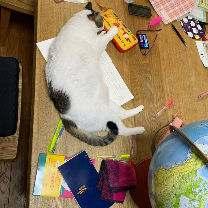 326e5b5a ea08 40ad a585 76a6be7249c9 1626820428765