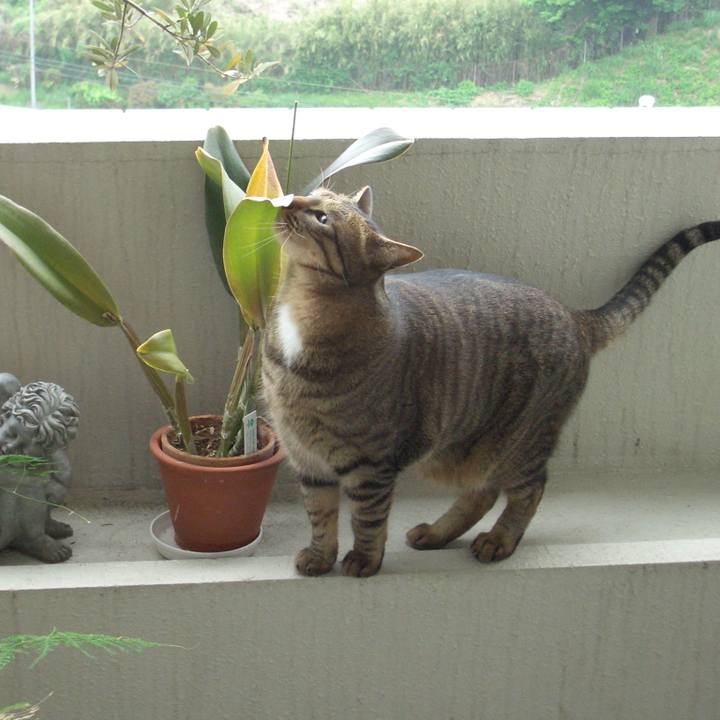 326e9088 6452 4510 9a24 0b53091d9de4 1561862882913