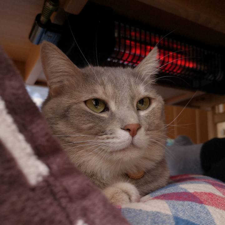 326ec0a2 18c3 444b a9ae ad5a5e53f2bc 1571275946321