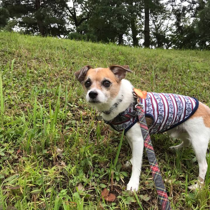 326ec51c 4833 42d7 b7b7 a583edb14866 1569139223837