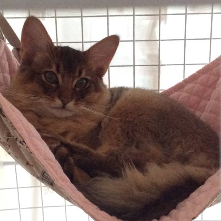 326ec9f3 4822 4014 84bc 613e3ba81a39 1574911290283