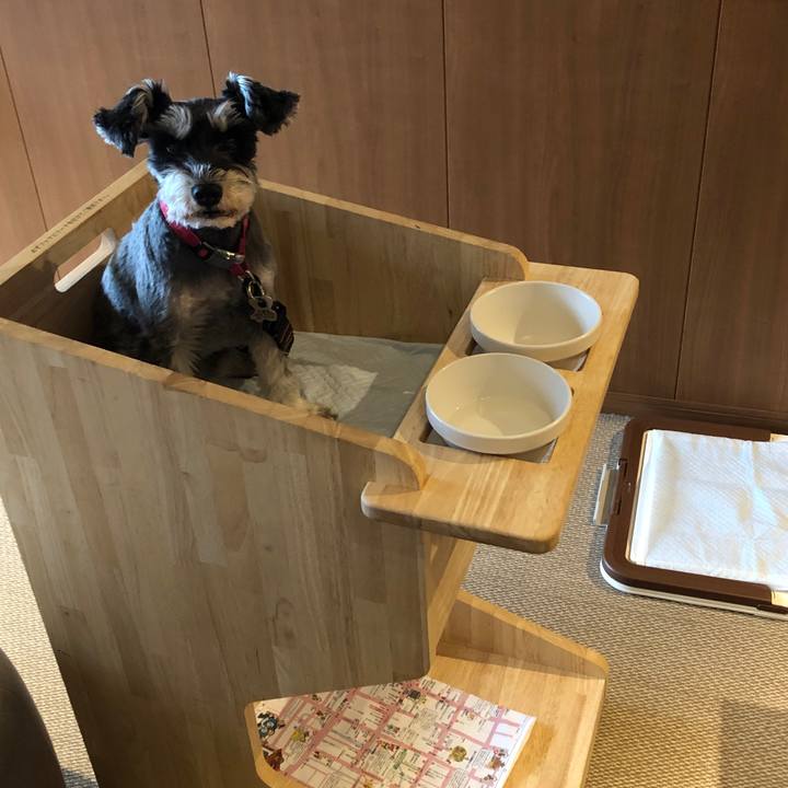 326eedcd ac5d 4d10 ba2d 0c2c7ac0d708 1686457022145