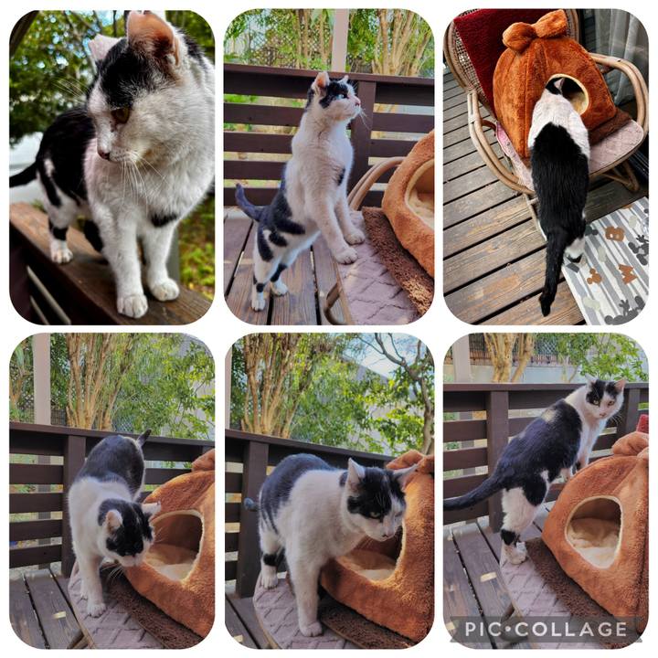 326ef0cf e5c4 4054 9e28 4c84883cbfad 1770008107367