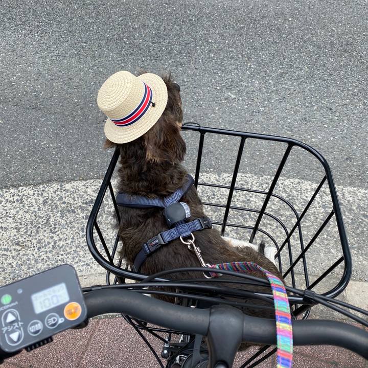 326efef0 1d02 47bc bb80 be2c96c0d375 1595484731633