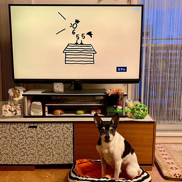 326f0663 3db3 4515 90a7 dc2adc075488 1611267487395