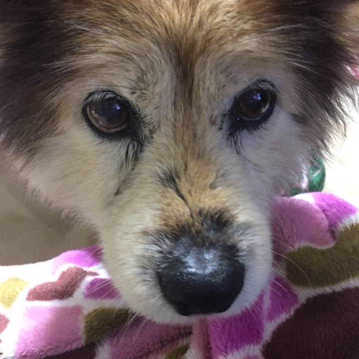 326f20dc dc86 45cf 98e1 0f513134271b 1577853730790