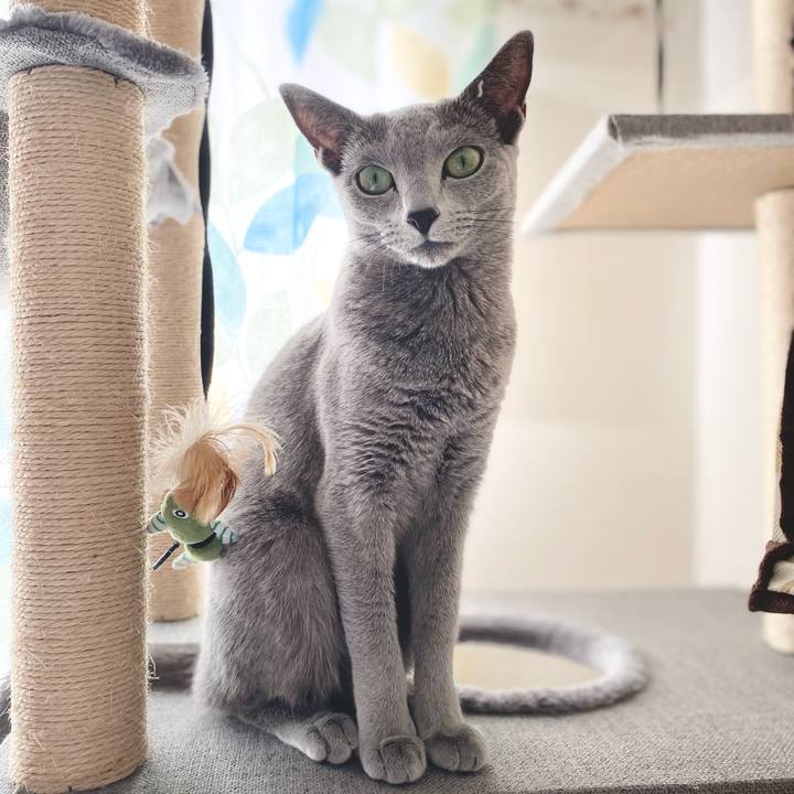 326f27b6 b6fc 49a6 8e34 a6b5ffea3a3f 1635737431544