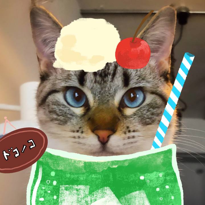 326fbbd0 51a2 48d7 9524 1d0e327f3826 1755115597394