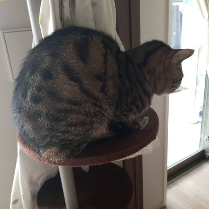 326fbbfc 0e60 4cc1 a37d 120712c28c5c 1583541112218