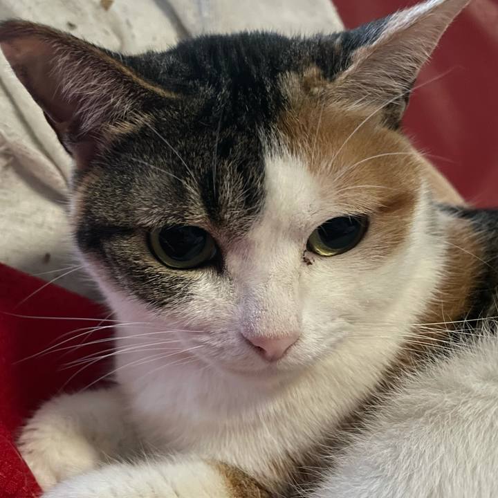 326fc310 2683 46da bbec 7fc97ee12631 1617309184405