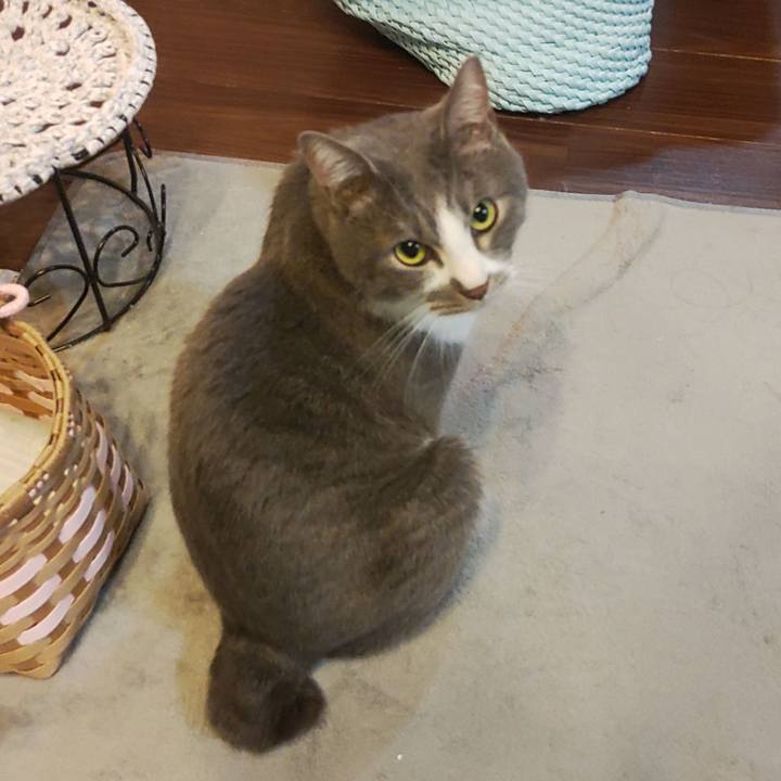 326fe8bb 96f4 41c3 9a83 aeb10b5c52f3 1680098302700