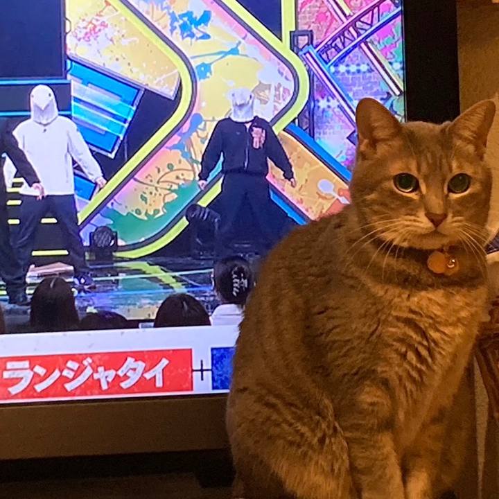 32701610 c6e3 46ab 8423 d0a4ff83a7ce 1681379291708