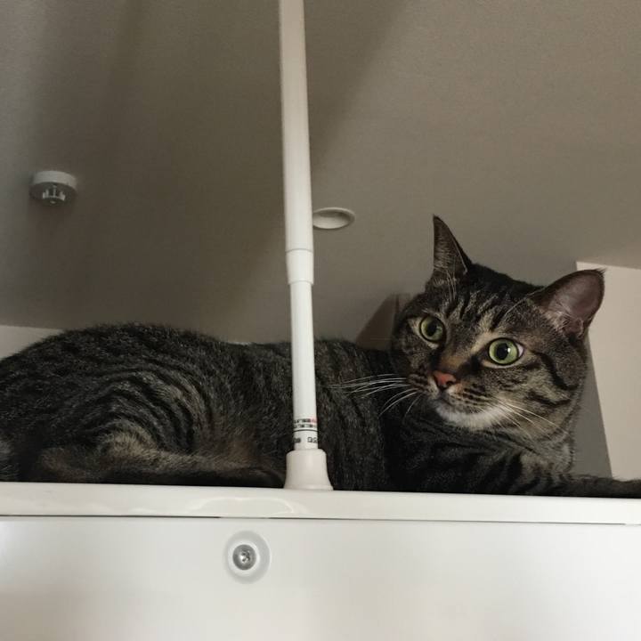 3270296e c4ea 4f11 87f5 b1c6970d7057 1564356029142