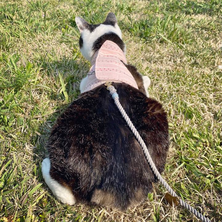 327042a2 5022 4794 a3a6 9d1d472f68de 1586423396279