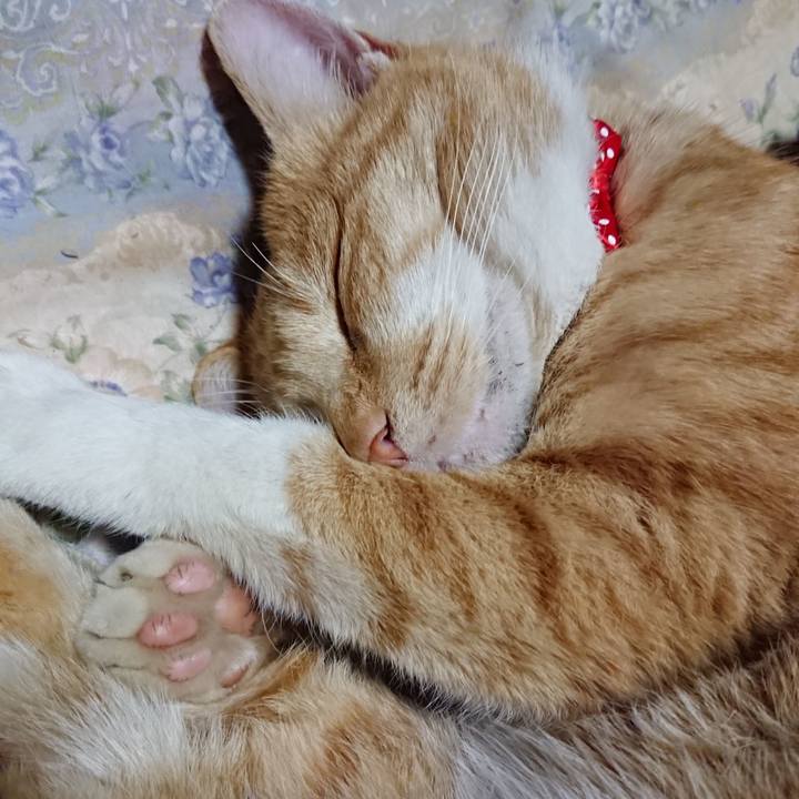 3270768f 41b9 492a bb57 406effaacc4a 1576412198538