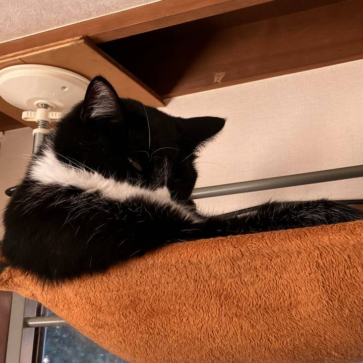 327084ce 7486 4daa a58b 1ba81464a415 1674099400830