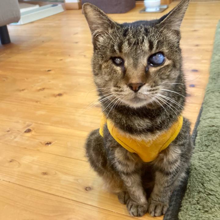 3270d32c 41f4 4398 a70c 223cbc77892c 1682638654487