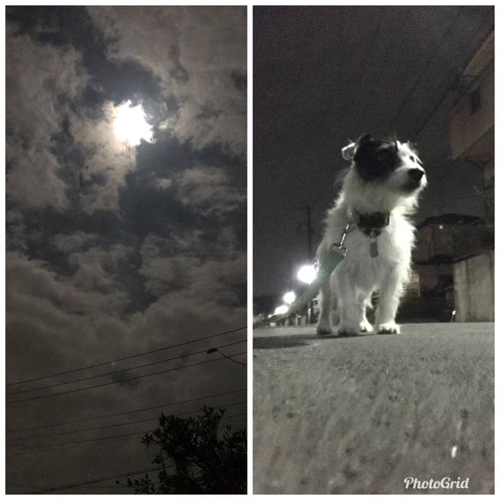 3270d908 825a 4c14 a4f1 ac93aa60fa9a 1540390506139