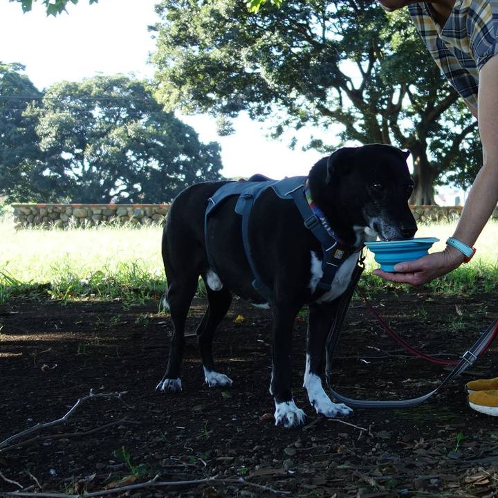 3270fa9d ca70 40be 8711 450a02417601 1725496190292